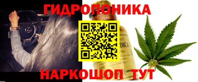 бошки Славгород