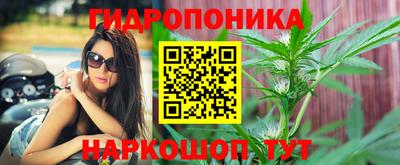 бошки Славгород
