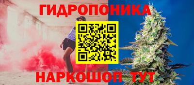 гашиш Сланцы