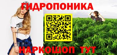 гашиш Сланцы